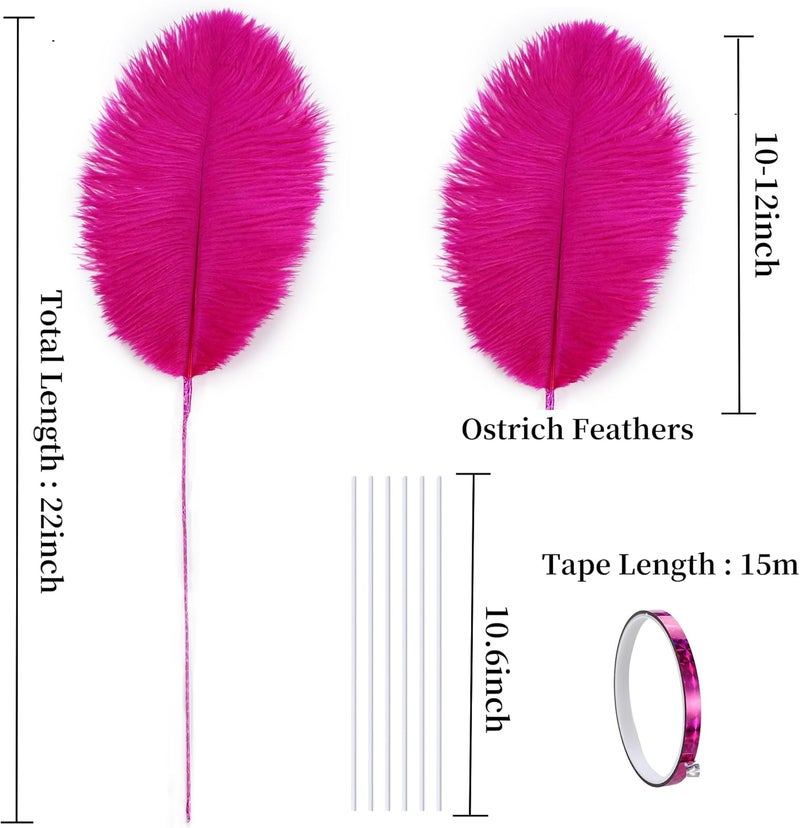 Holmgren Hot Pink Ostrich Feathers - 20pcs Making Kit 22 Inch Ostrich Feathers Bulk for Vase, Floral Arrangement, Home Wedding Party Centerpieces and Easter Gatsbi Decorations - Image 3